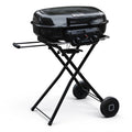 Brand Man Portable 2-Burner Camping Propane Gas Grill, Enameled Foldable BBQ with Griddle for Outdoor Cooking, Green